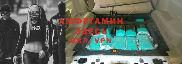 шишки Вязники