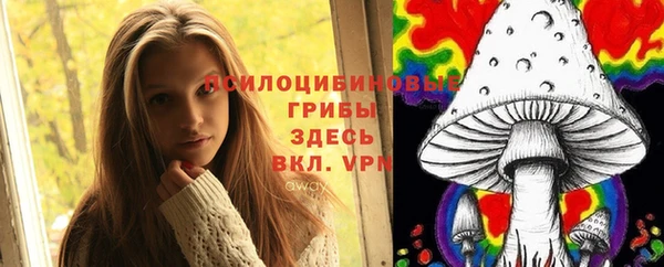 шишки Вязники