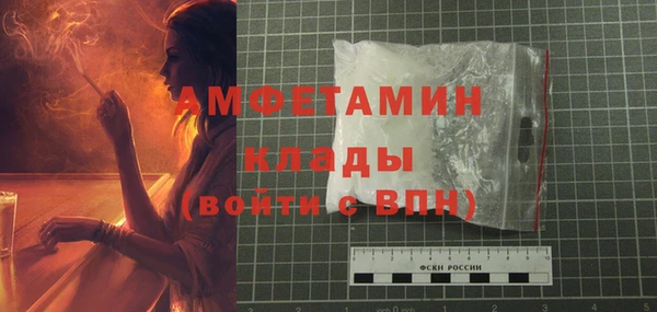 шишки Вязники