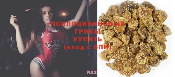 шишки Вязники