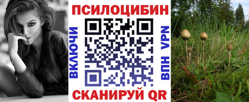 Псилоцибиновые грибы Psilocybe  Купить  Озёры 